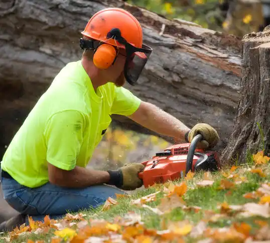 tree services Bozeman